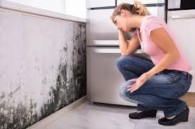 Best Residential Mold Inspection & Testing  in Huntsville, TX